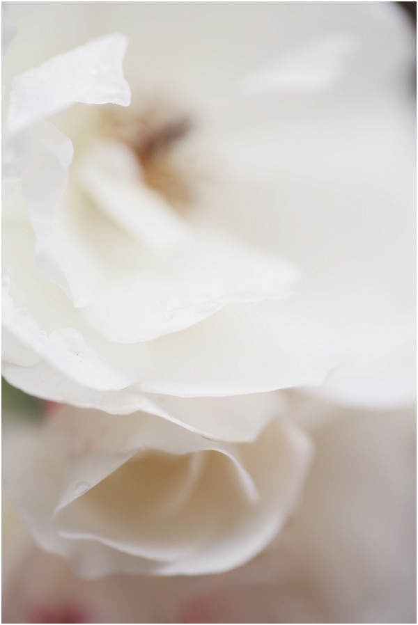 2013-12-15_0001