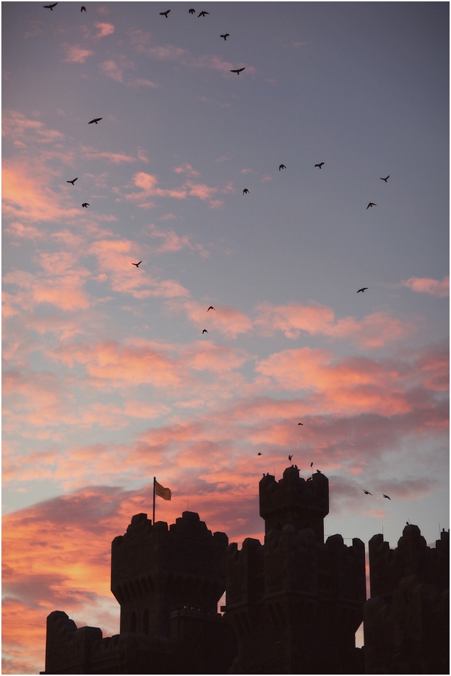 ashfordcastle (205)