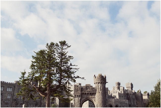 ashfordcastle (33)