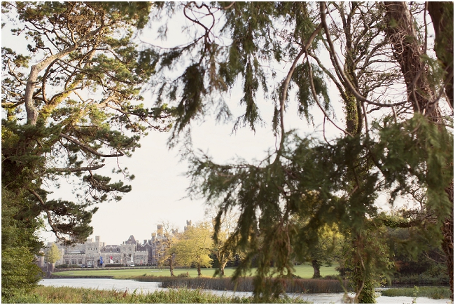 ashfordcastle (40)
